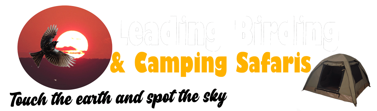 leadingbirdingandcamping